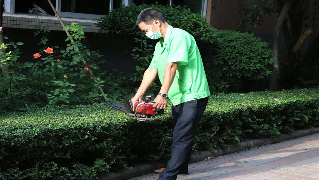 绿化修剪和维护服务